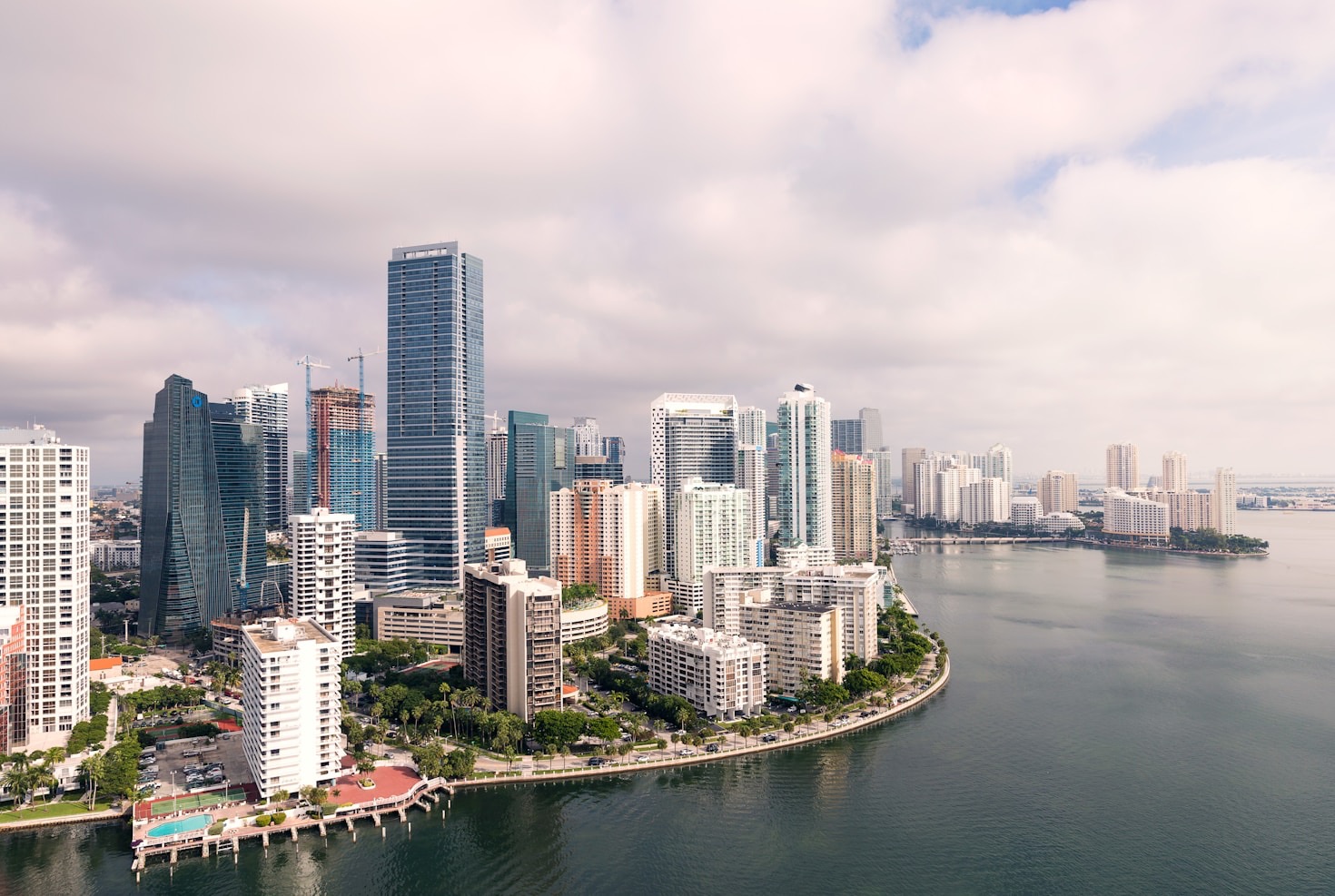 Where to Experience Miami’s Nightlife