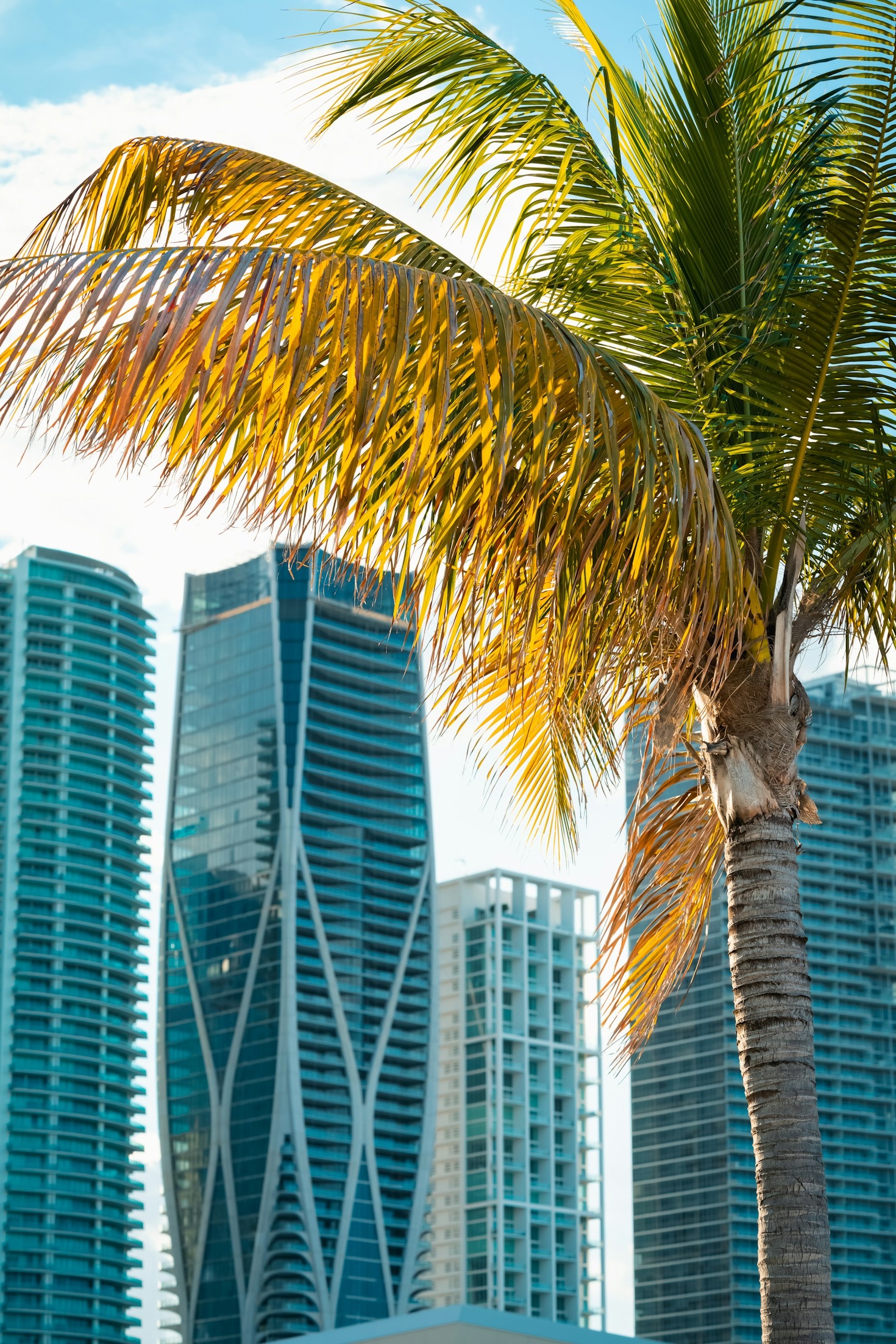 How to Navigate Miami’s Public Transport System