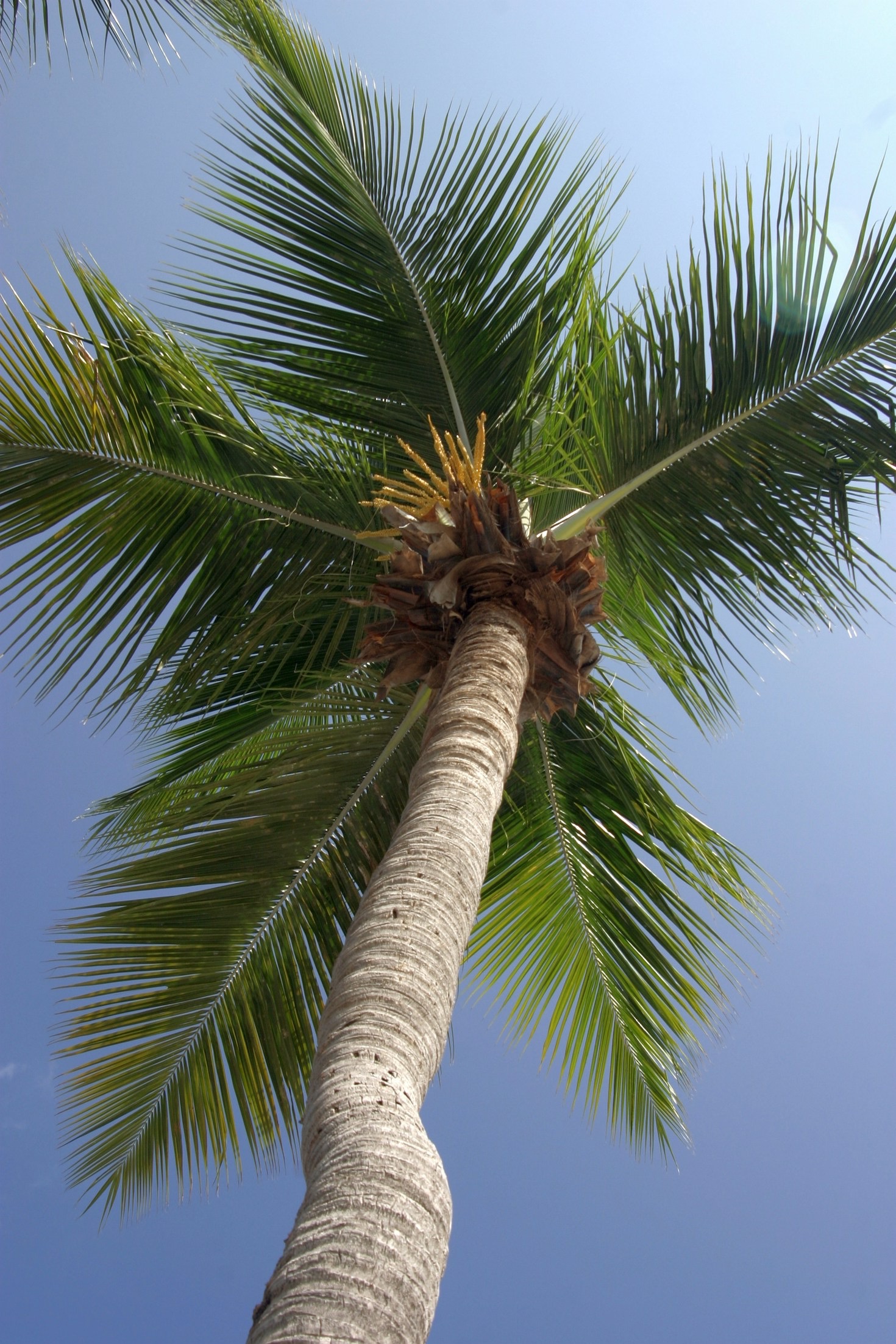Best Beaches to Visit in Miami